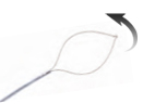 (Endoaccess) Disposable Oval Snare - Rotatable